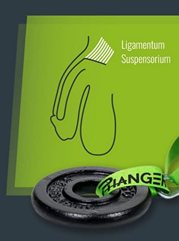 the ligamentum suspensorium